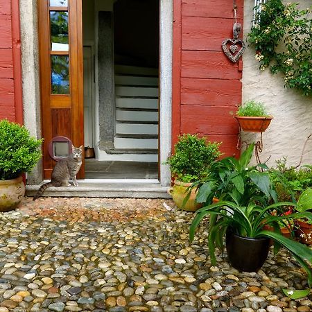 Bed & Breakfast Uvablu Trontano Exterior photo