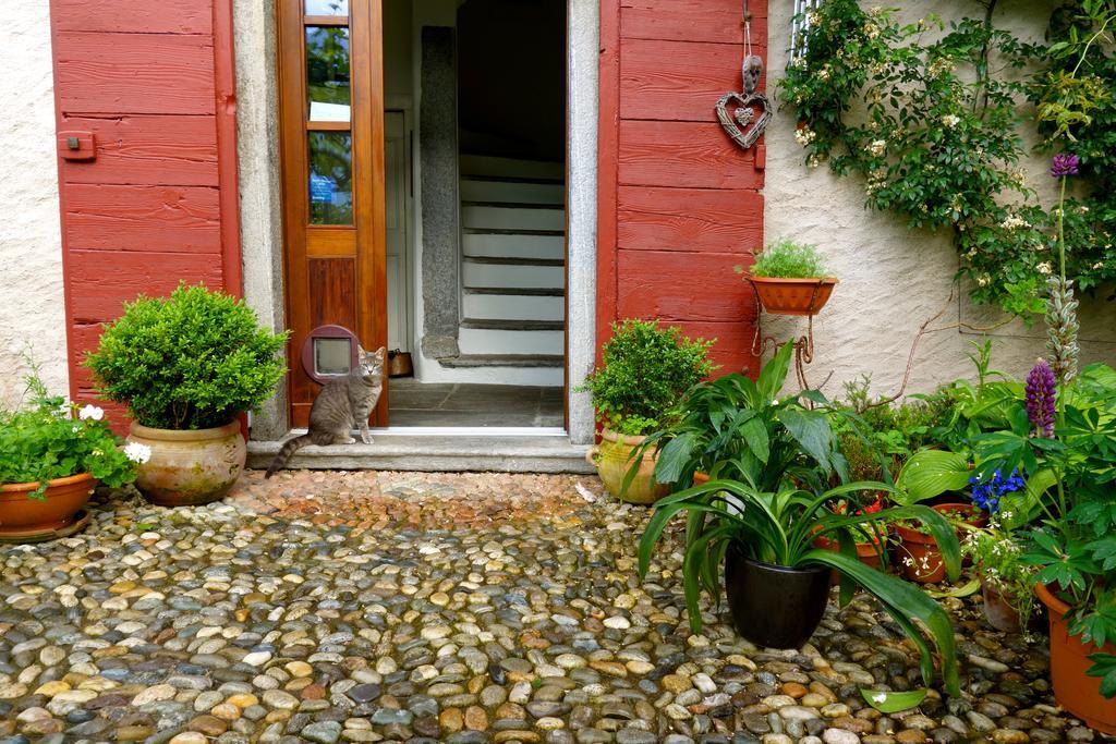 Bed & Breakfast Uvablu Trontano Exterior photo