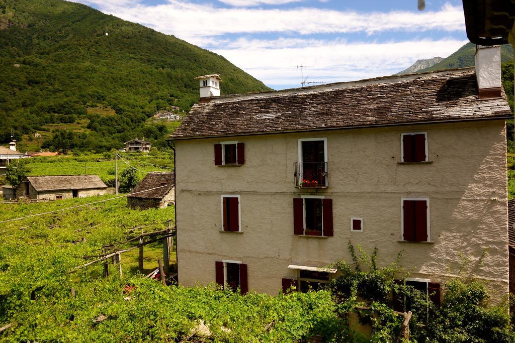 Bed & Breakfast Uvablu Trontano Exterior photo